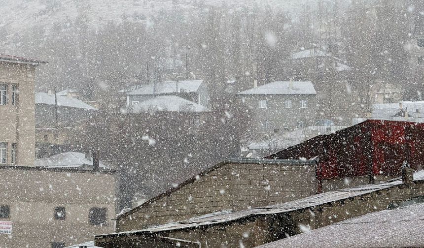 Hakkari'de sağanak yerini kara bıraktı