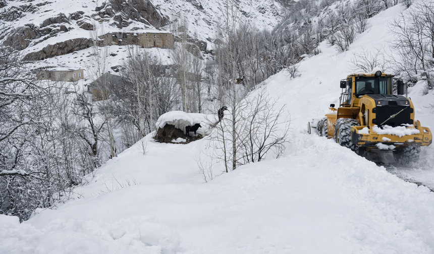 Hakkari’de mahsur kalan atlar kurtarıldı