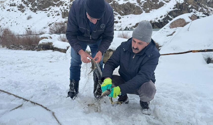 Hakkari'de buz tutan Zap Suyu'nda balık avı