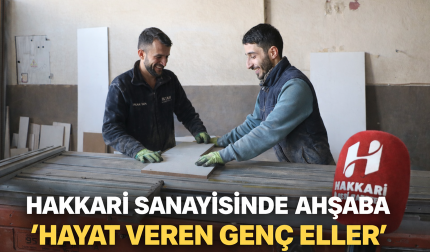 Hakkari sanayisinde ahşaba hayat veren genç eller