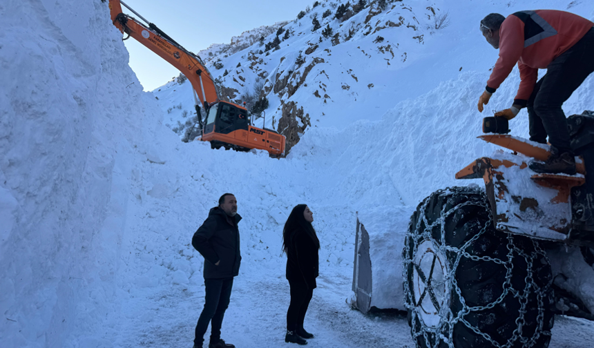 Van–Çatak kara yolunda 4 gündür hayat durdu