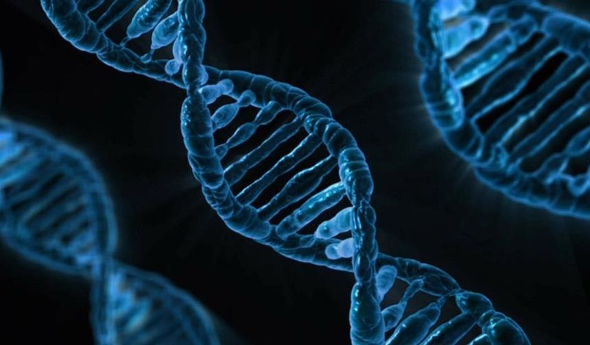 AlphaGenome ile DNA’nın bilinmeyenleri çözülecek