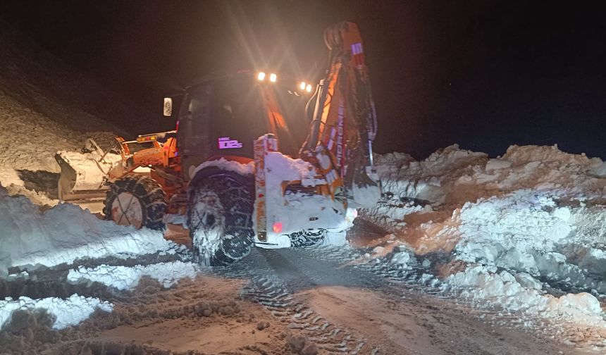 Hakkari-Van karayoluna çığ düştü