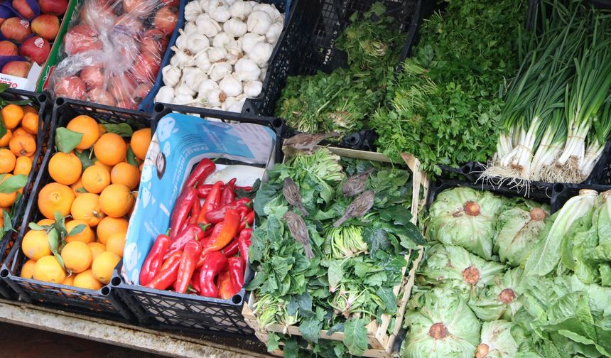 Ağır kış kuşları manav tezgahına indirdi