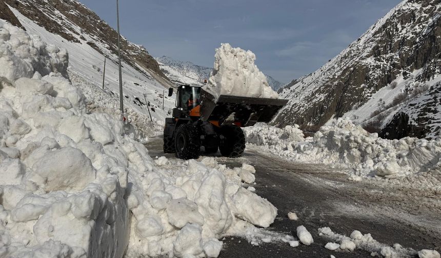 Hakkari - Van karayoluna çığ düştü