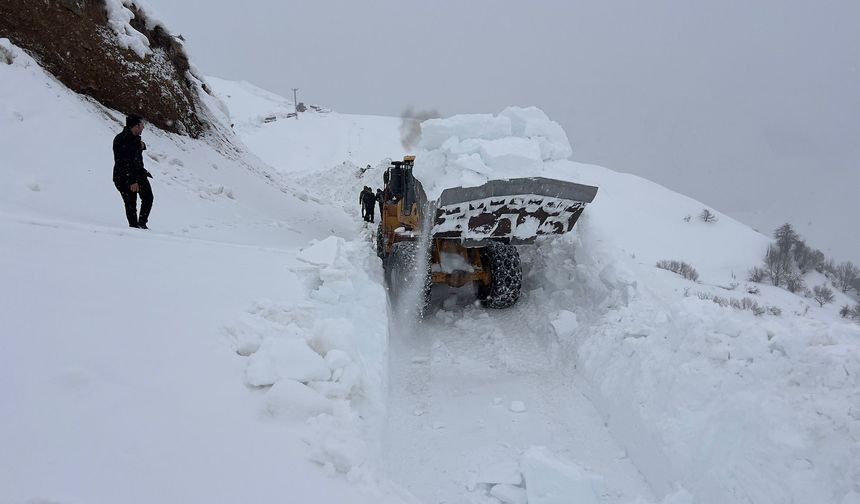 Hakkari'de çığ nedeniyle kapanan yol, 2 ay sonra açıldı