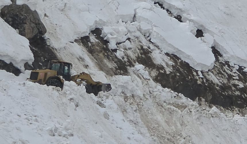 Cevizdibi Köy yolu ulaşıma açıldı