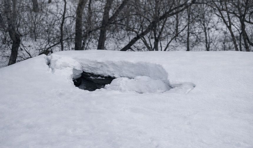 Hakkari’de yoğun kar dam çökertti