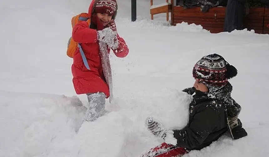 Hakkari'de okullar bugün tatil edildi