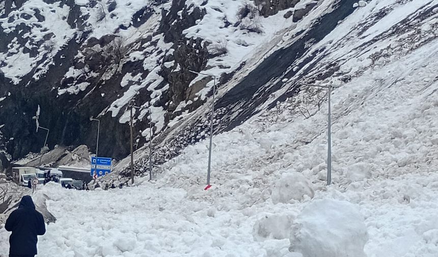 Hakkari- Çukurca karayoluna çığ düştü