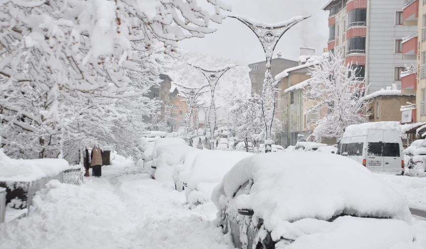 Bölgede 1077 yerleşim yerine ulaşım sağlanamıyor