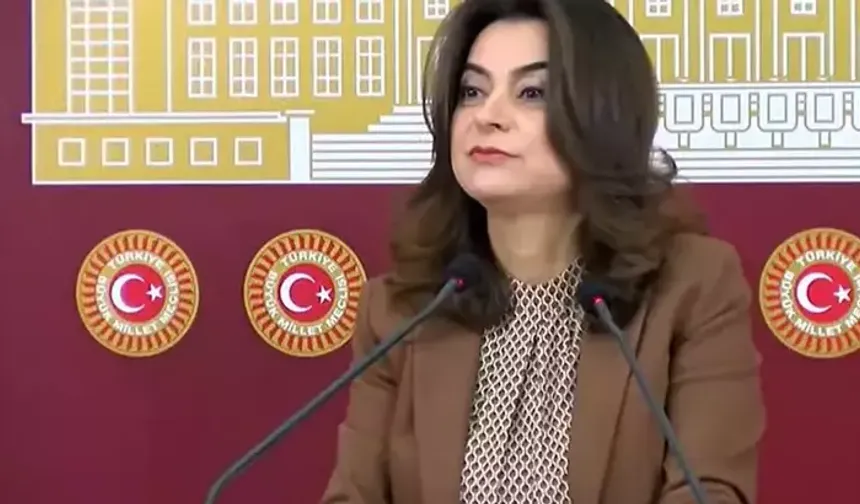 Koçyiğit: Barış yasaları ivedilikle çıkmalı