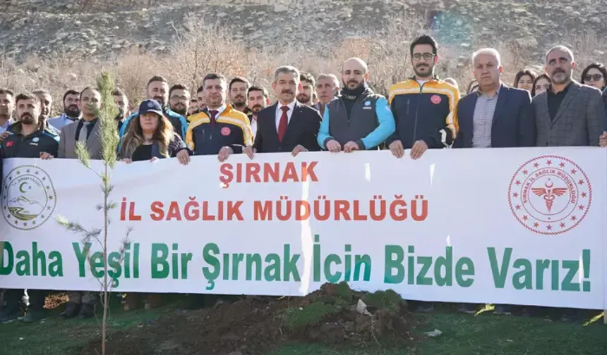 Cudi Dağı eteklerinde 1000 fidan dikildi