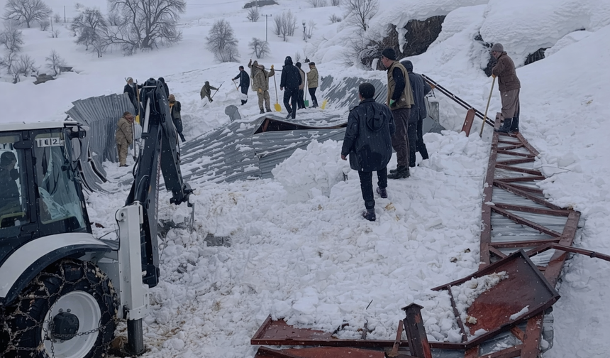 Hakkari’de karın ağırlığı ahırı çökertti