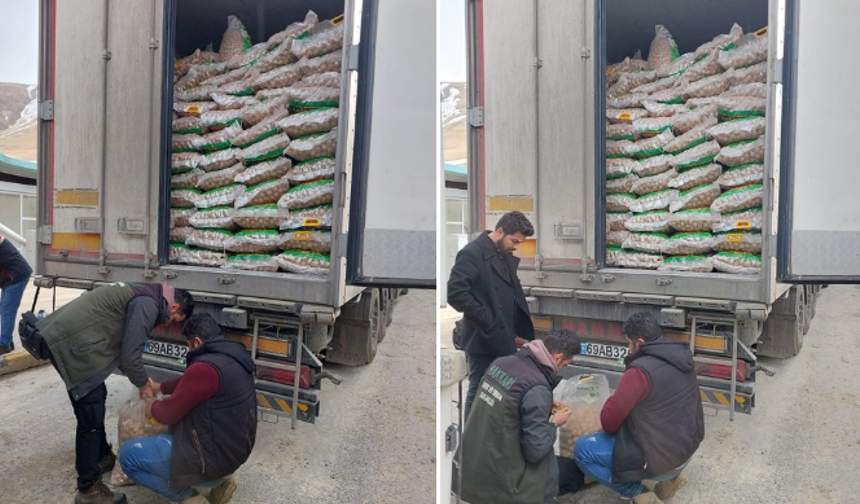 Hakkari’de ithal bitkisel ürünlere yakın takip