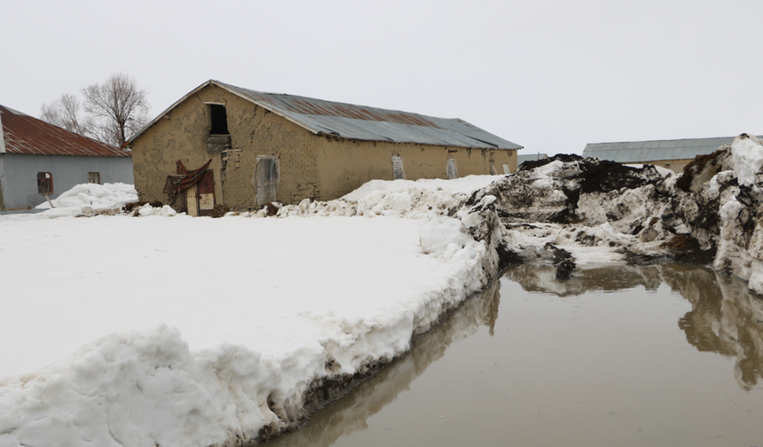 Yüksekova’da sağanak; ahırları su bastı