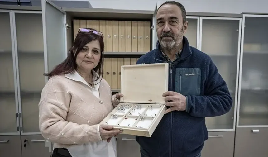 Hakkari’de bulundu: Bilim dünyası bunları konuşuyor!