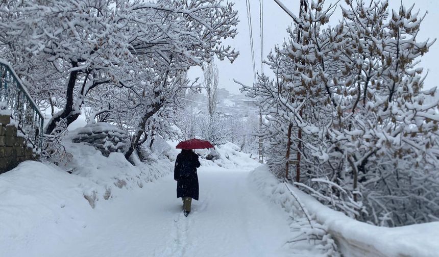 Hakkari'de kar etkisini sürdürüyor