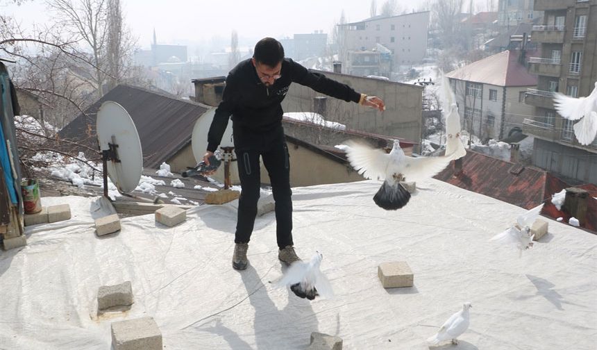 Evinin damında 3 ırktan 50 güvercin besliyor