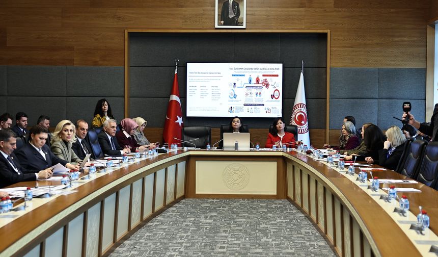 TBMM'de çocuk suçları araştırma komisyonu toplandı