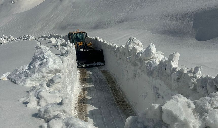 Hakkari’de üs bölgesi yolunda yoğun çalışma