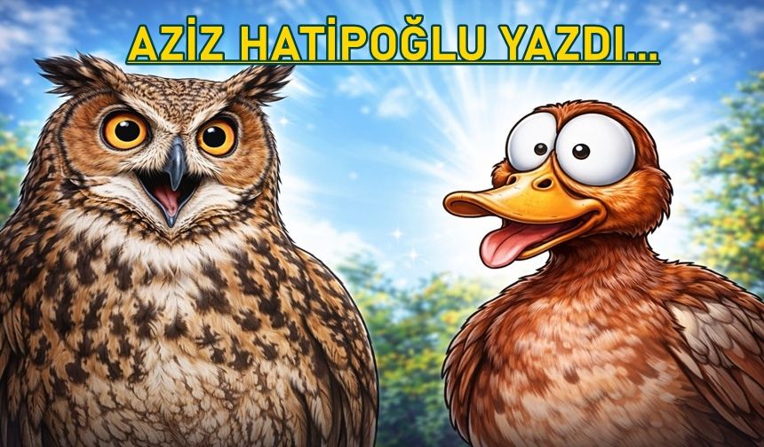 'Baykuş'un söyledikleri ve Angut Kuşu'