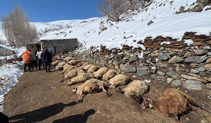 Ahırda çıkan yangında 67 küçükbaş hayvan öldü