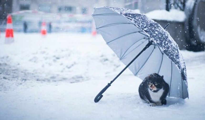 Meteoroloji’den Hakkari için uyarı