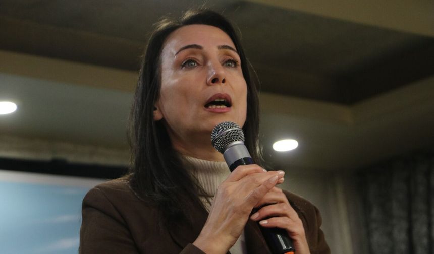 Hatimoğulları Hakkari'de konuştu: Barış süreci hızlanmalı