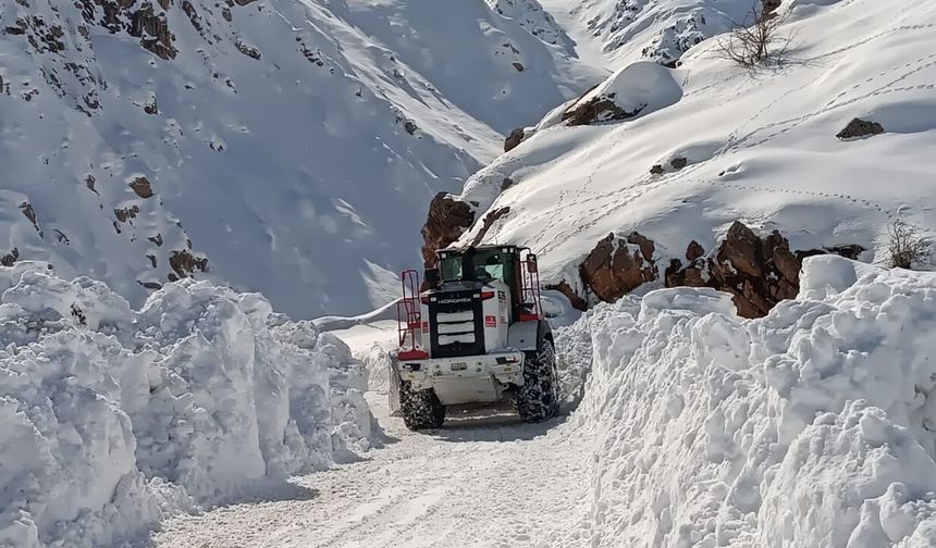 Yüksekova'da kapalı mezra yolu ulaşıma açıldı