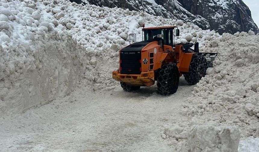Yüksekova-Dağlıca kara yolu çığ nedeniyle kapandı