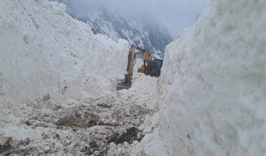 Hakkari'de çığın kapattığı köy yolunda çalışma başlatıldı
