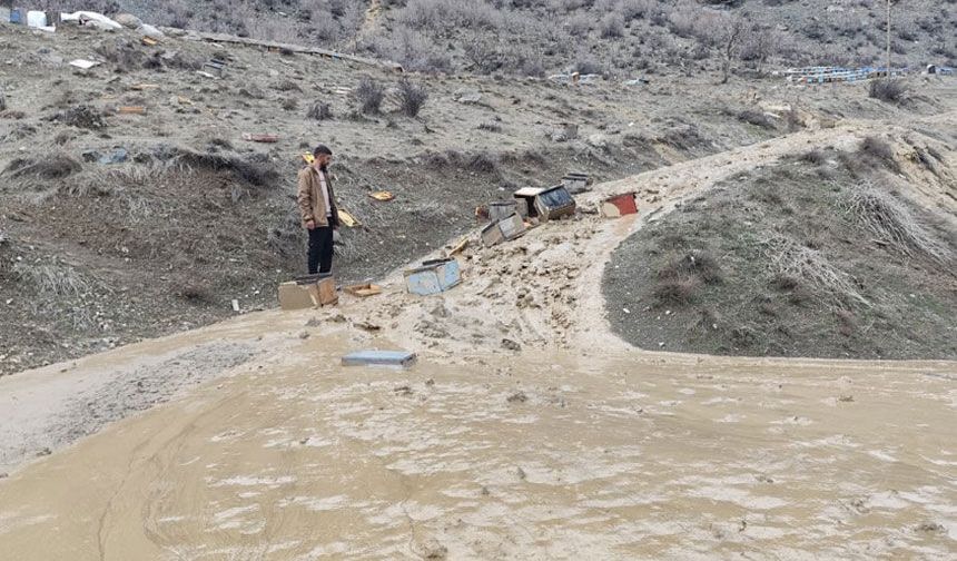 Sel vurdu yüzlerce arı kovanı Zap 'a kapıldı