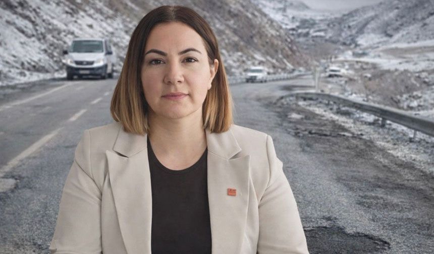 Çakırbeyli'den yol tepkisi: Hakkari bunu hak etmiyor