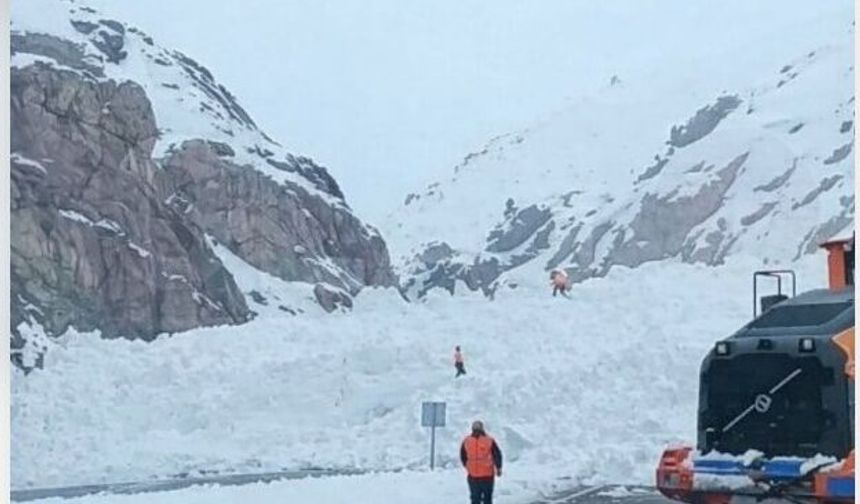 Hakkari-Van karayoluna çığ indi