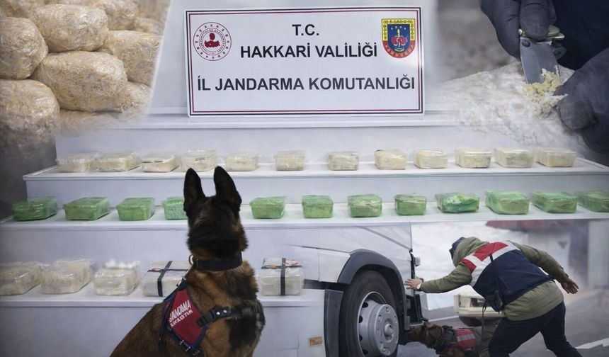 Hakkari ve Van'da zehir tacirlerine darbe: 15 gözaltı