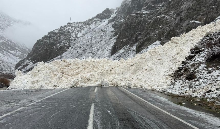 Hakkari-Çukurca kara yolu çığ nedeniyle kapandı