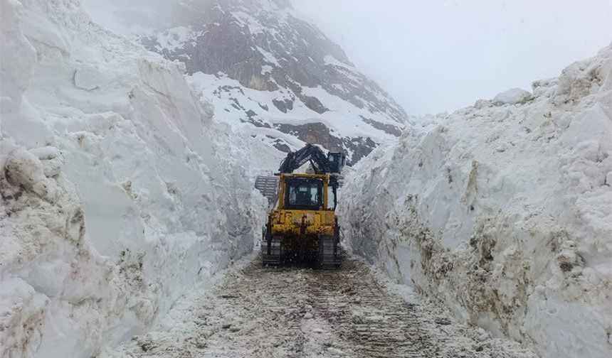 Hakkari'de 56 yerleşim yerinin yolu kapandı