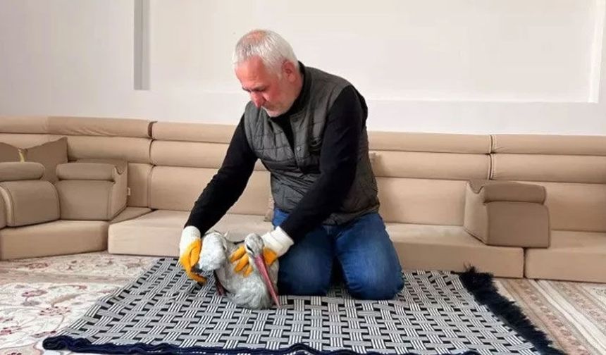 Hakkari'de bulduğu yavru leyleği donmaktan kurtardı