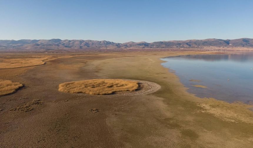 Su ve Orman: Doğanın, refahın ve eşitliğin temel taşları