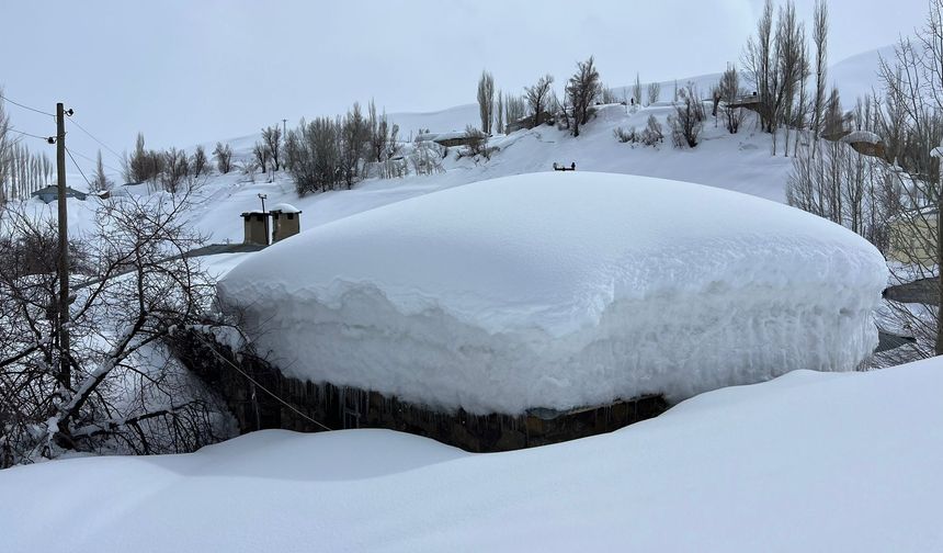 Yüksekova'da evler kara gömüldü