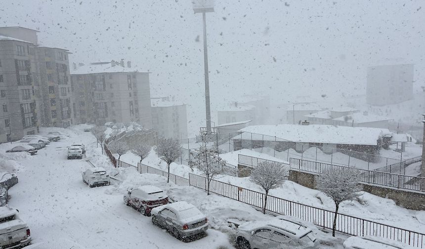 Yüksekova'da kar yağışı etkili oldu