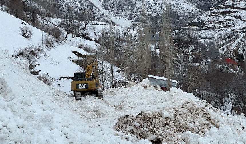 Yüksekova'da köye düşen çığ korkuya neden oldu