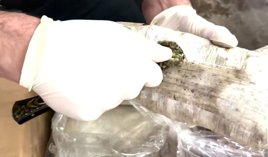 Hakkari dahil 71 ilde narkotik operasyonlar: 373 tutuklama