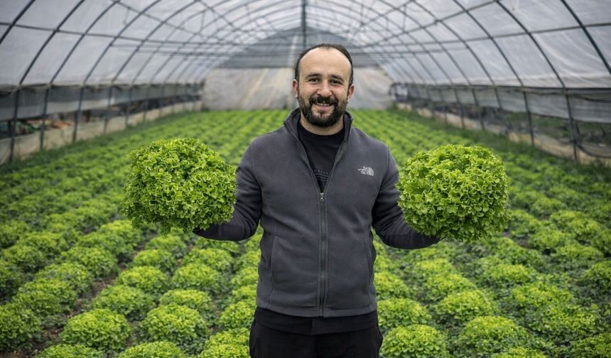 Hakkari seralarında hasat zamanı