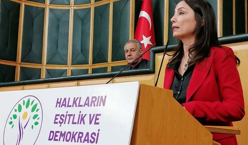 DEM Parti’den kayyım ve süreç çağrısı!