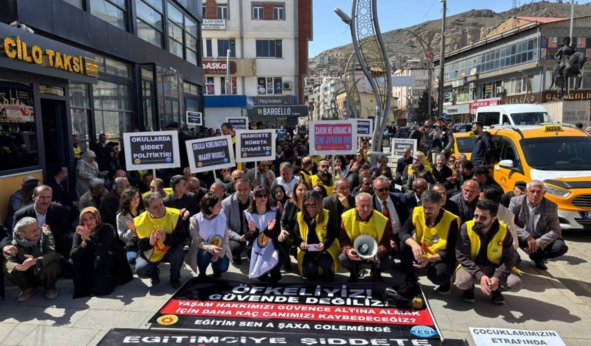 Hakkari’de “Okullarda Şiddete Dur” yürüyüşü düzenlendi