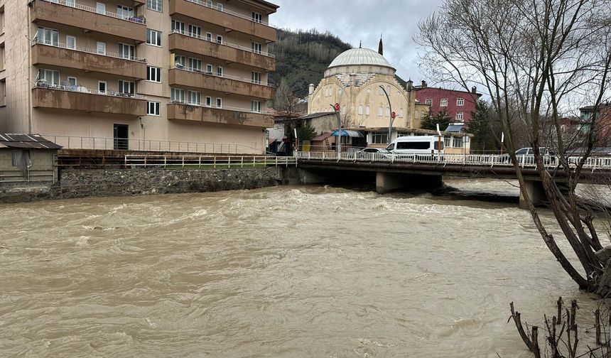 Çatak'ta sağanak nedeniyle derelerin debisi yükseldi
