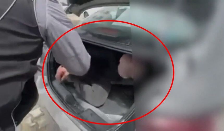 Bingöl’de firari hükümlü, otomobilin bagajında yakalandı