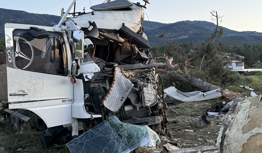 Sebze yüklü TIR ağaca çarparak durabildi
